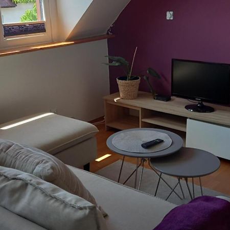 Domek Pod Sosnami Pokoje 2-3 Osobowe Apartamento Mielno  Exterior foto